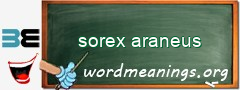 WordMeaning blackboard for sorex araneus